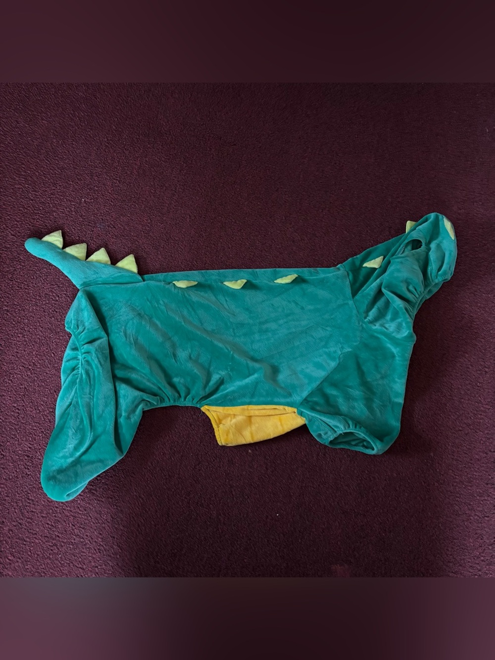 Dog dinosaur costume